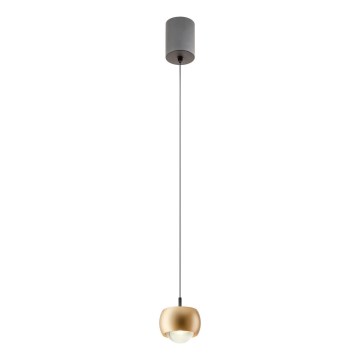 Redo 01-3547 - Suspension filaire AVES LED/12W/230V d. 9,6 cm CRI 90 doré