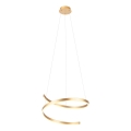 Redo 01-4014 - Lustre LED dimmable sur câble SCROLL, 38 W, 230 V, 3000 K/4000 K/6000 K, IRC 90, Ø 60 cm, doré