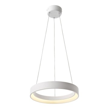Redo 01-671 - Suspension filaire LOOP LED/38W/230V d. 45 cm blanc