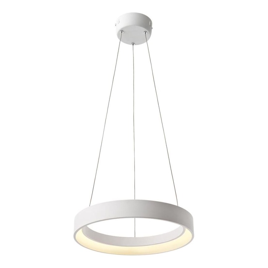 Redo 01-671 - Suspension filaire LOOP LED/38W/230V d. 45 cm blanc