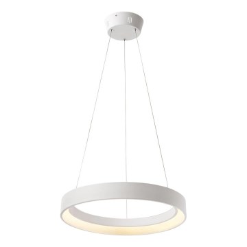 Redo 01-672 - Suspension filaire LOOP LED/48W/230V d. 60 cm blanc