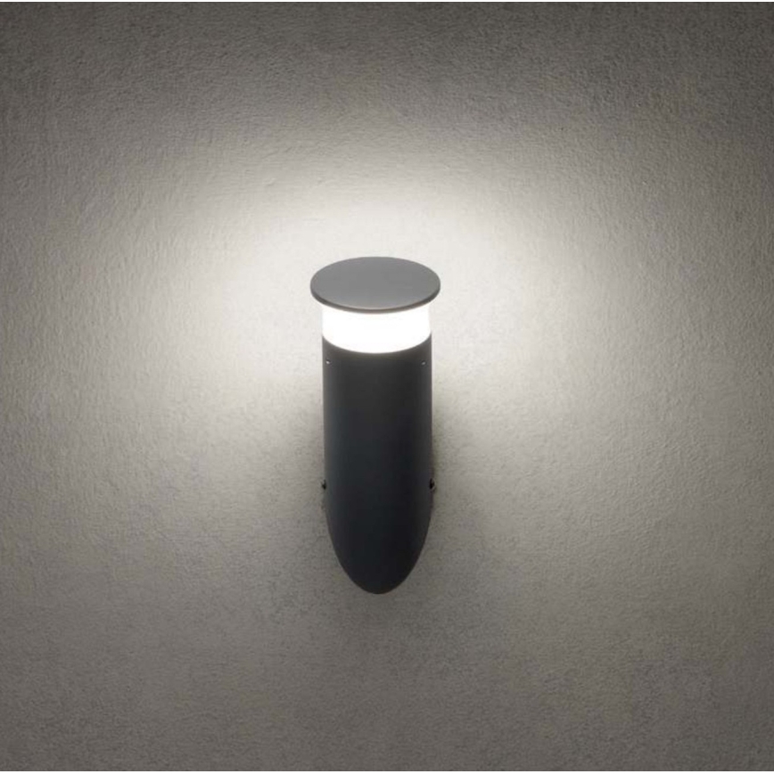 Redo 90073 - Applique murale extérieure LED RGBW ALGON LED/6W/230V Wi-Fi Tuya IP65 anthracite