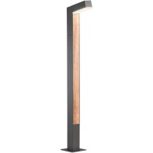 Redo 90512 - Lampe LED extérieure WOODY LED/10W/230V IP54 anthracite