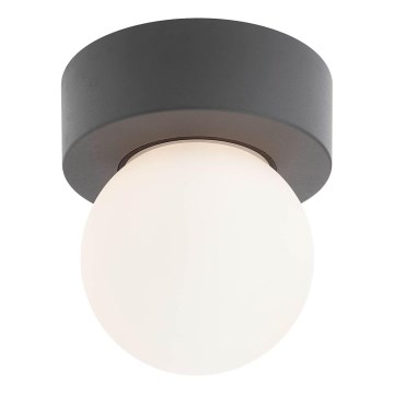 Redo 90641 - Plafonnier extérieur BULK 1xE27/28W/230V IP44 anthracite