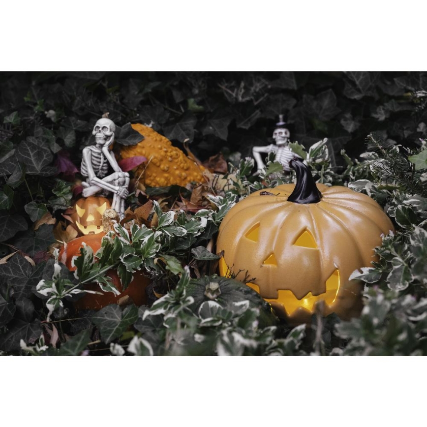 Décoration HALLOWEEN LED/2xLR44/blanc chaud squelette dans une citrouille résine