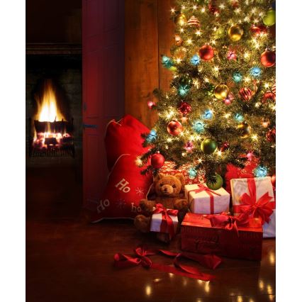 Guirlande de noël d'extérieur 40xLED/15m IP44 multicolore