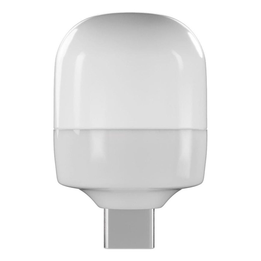 Retlux - Lampe de poche LED/0,3W/USB