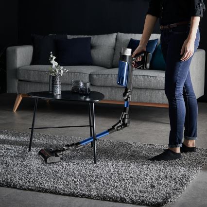 Rowenta - Aspirateur balai X-FORCE FLEX 250W/18V