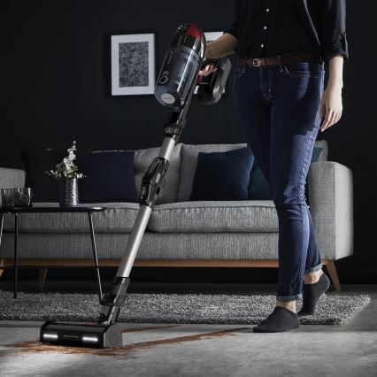 Rowenta - Aspirateur balai X-FORCE FLEX ANIMAL CARE 320W/25,2V noir 2000 mAh