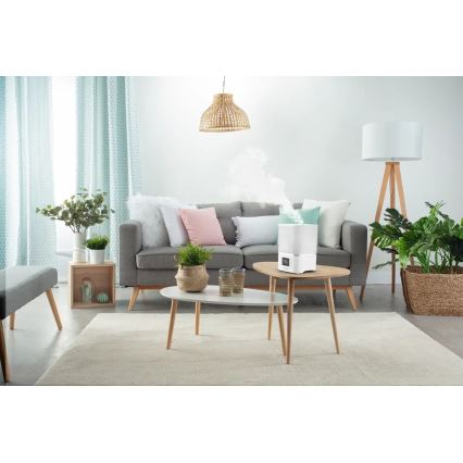 Rowenta - Humidificateur AQUA BOOST 2,5 l 115W/230V