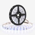 Ruban LED 50W/12V 5m blanc froid
