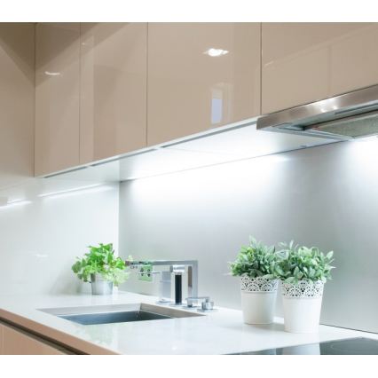 Ruban LED TRAMO LED/500W/12V 50m 6500K