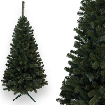 Sapin de Noël 150 cm — sapin (Abies)