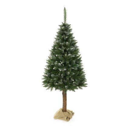 Sapin de Noël sur un tronc 180 cm épicéa