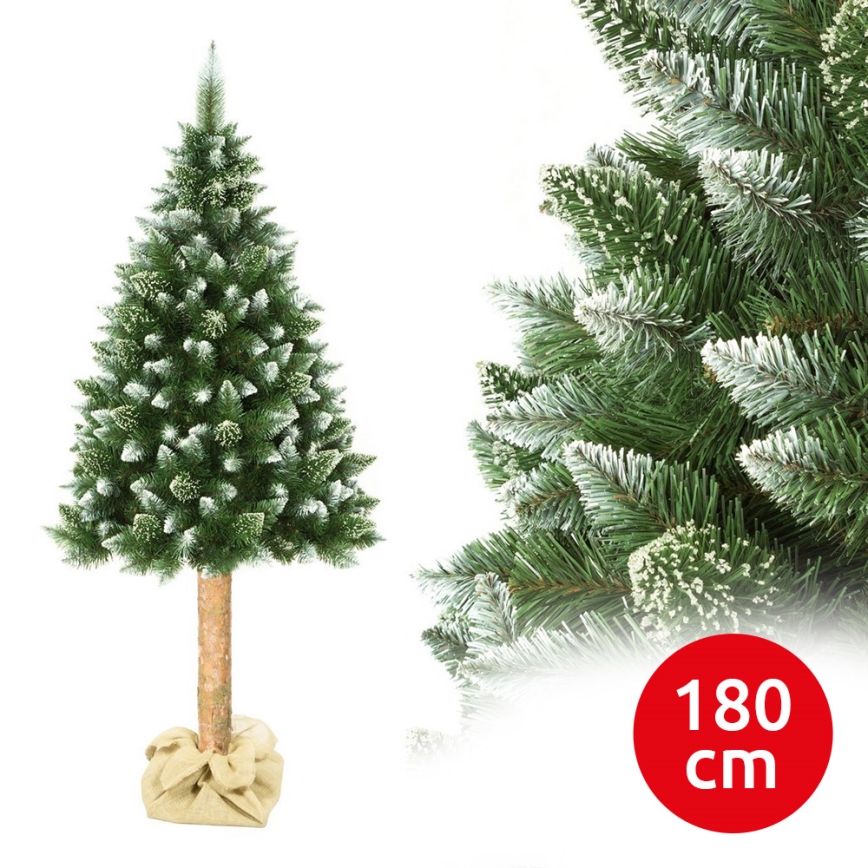Sapin de Noël sur un tronc 180 cm pin