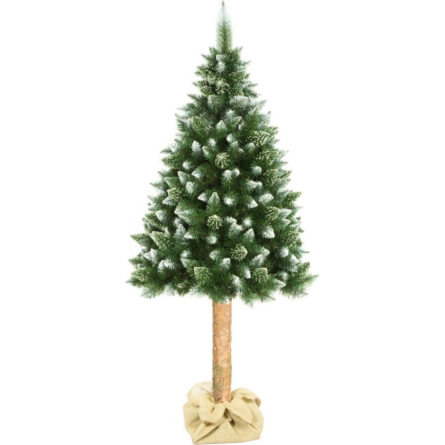 Sapin de Noël sur un tronc 180 cm pin