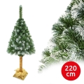 Sapin de Noël sur un tronc 220 cm pin