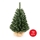 Sapin de Noël XMAS TREES 70 cm pin