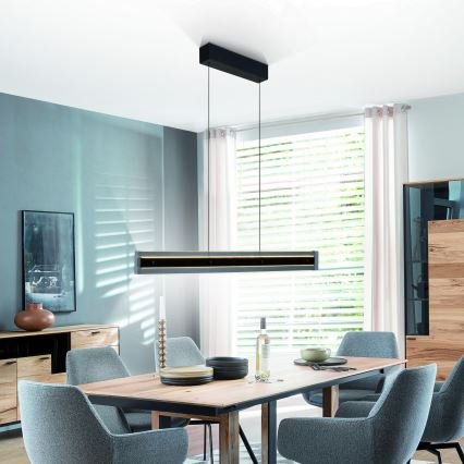 Schöner Wohnen 11316-18 - Suspension LED dimmable sur câble LENA LED/32W/230V 105 cm noir