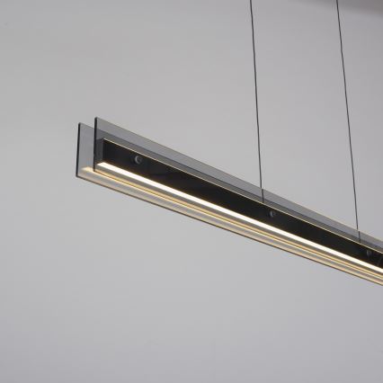 Schöner Wohnen 11316-18 - Suspension LED dimmable sur câble LENA LED/32W/230V 105 cm noir