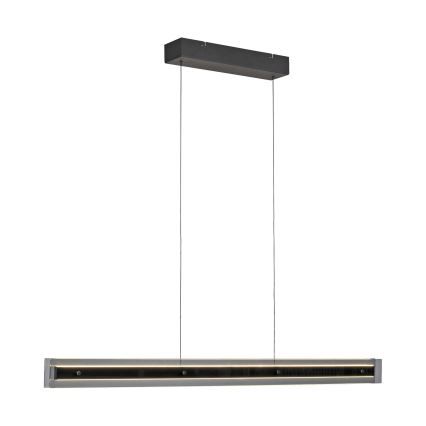 Schöner Wohnen 11316-18 - Suspension LED dimmable sur câble LENA LED/32W/230V 105 cm noir