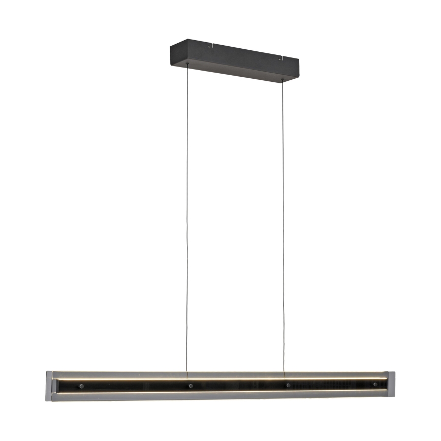 Schöner Wohnen 11316-18 - Suspension LED dimmable sur câble LENA LED/32W/230V 105 cm noir
