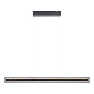 Schöner Wohnen 11316-18 - Suspension LED dimmable sur câble LENA LED/32W/230V noir