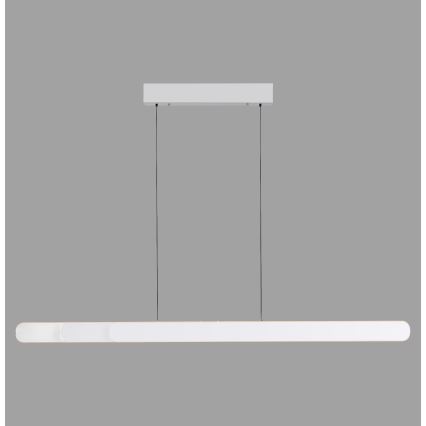Schöner Wohnen 12577-16 - Suspension LED dimmable sur câble ADRIANA ROUND 2xLED/24W/230V 2700/3000/3500/4000/5000K blanc
