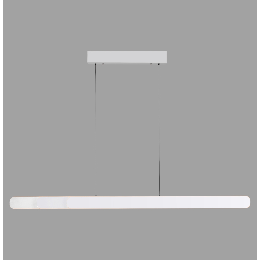 Schöner Wohnen 12577-16 - Suspension LED dimmable sur câble ADRIANA ROUND 2xLED/24W/230V 2700/3000/3500/4000/5000K blanc