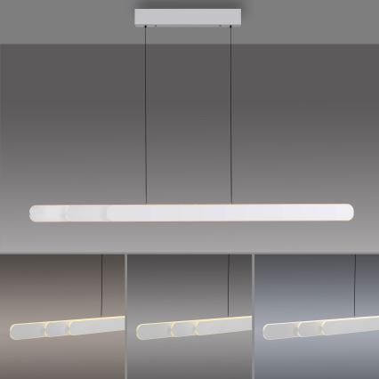 Schöner Wohnen 12577-16 - Suspension LED dimmable sur câble ADRIANA ROUND 2xLED/24W/230V 2700/3000/3500/4000/5000K 160 cm blanc