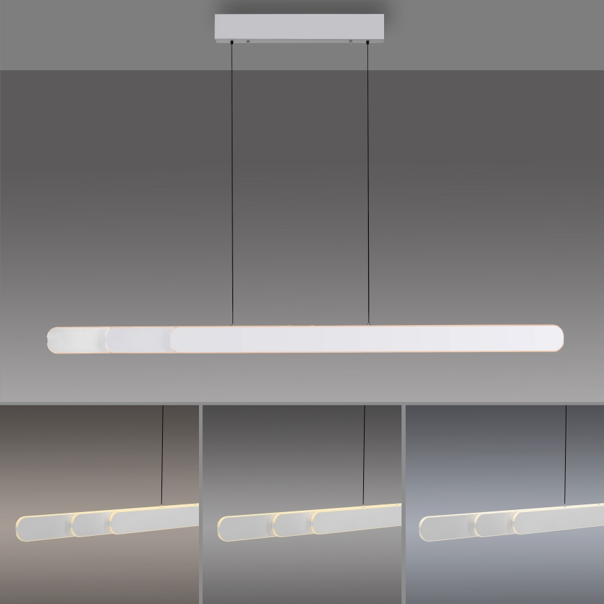 Schöner Wohnen 12577-16 - Suspension LED dimmable sur câble ADRIANA ROUND 2xLED/24W/230V 2700/3000/3500/4000/5000K 160 cm blanc