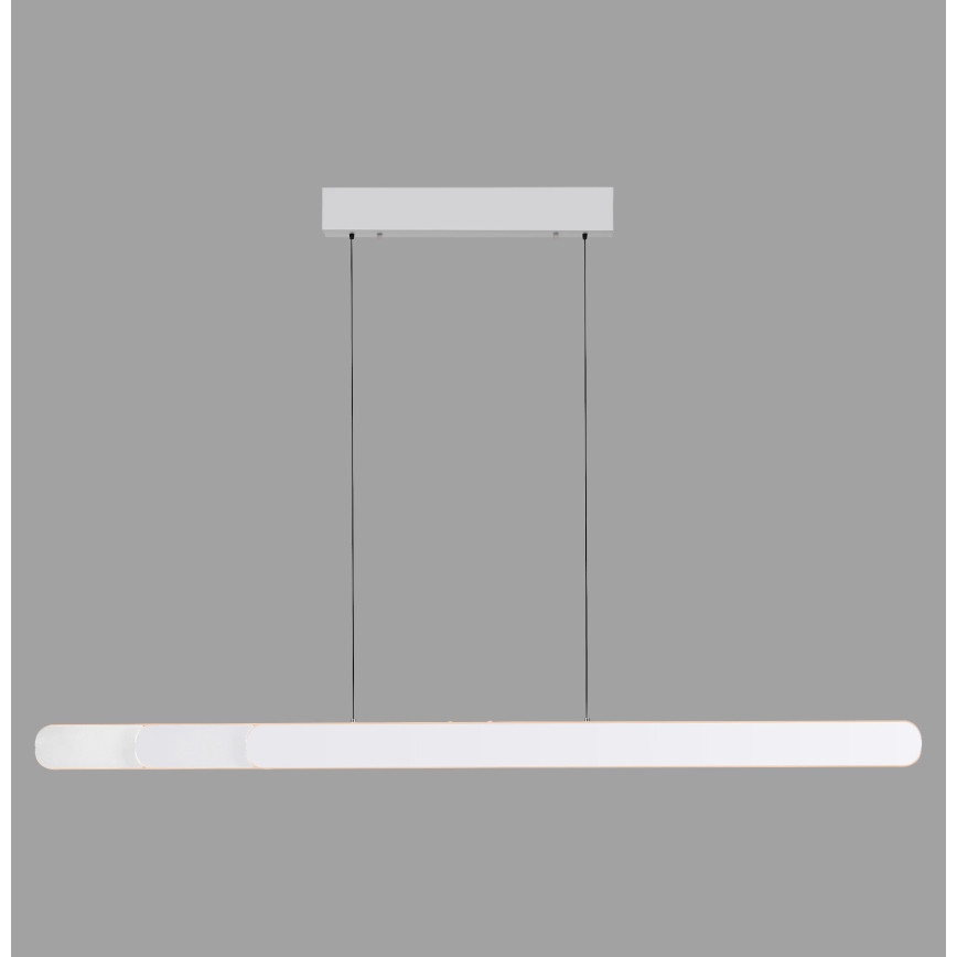 Schöner Wohnen 12577-16 - Suspension LED dimmable sur câble ADRIANA ROUND 2xLED/24W/230V 2700/3000/3500/4000/5000K 160 cm blanc