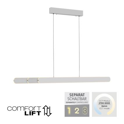 Schöner Wohnen 12577-16 - Suspension LED dimmable sur câble ADRIANA ROUND 2xLED/24W/230V 2700/3000/3500/4000/5000K 160 cm blanc