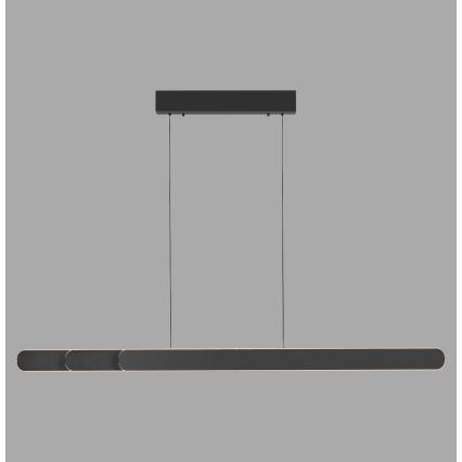 Schöner Wohnen 12577-18 - Suspension LED dimmable sur câble ADRIANA ROUND 2xLED/24W/230V 2700/3000/3500/4000/5000K 160 cm noir