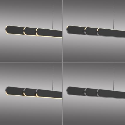 Schöner Wohnen 12577-18 - Suspension LED dimmable sur câble ADRIANA ROUND 2xLED/24W/230V 2700/3000/3500/4000/5000K 160 cm noir