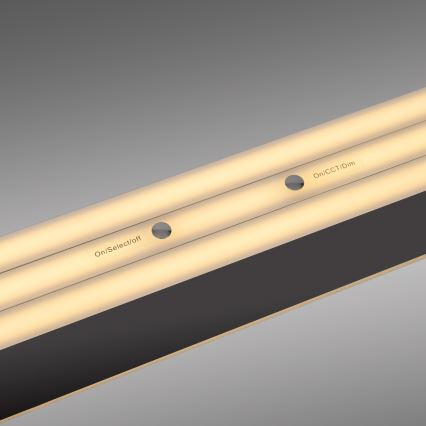 Schöner Wohnen 12577-18 - Suspension LED dimmable sur câble ADRIANA ROUND 2xLED/24W/230V 2700/3000/3500/4000/5000K 160 cm noir