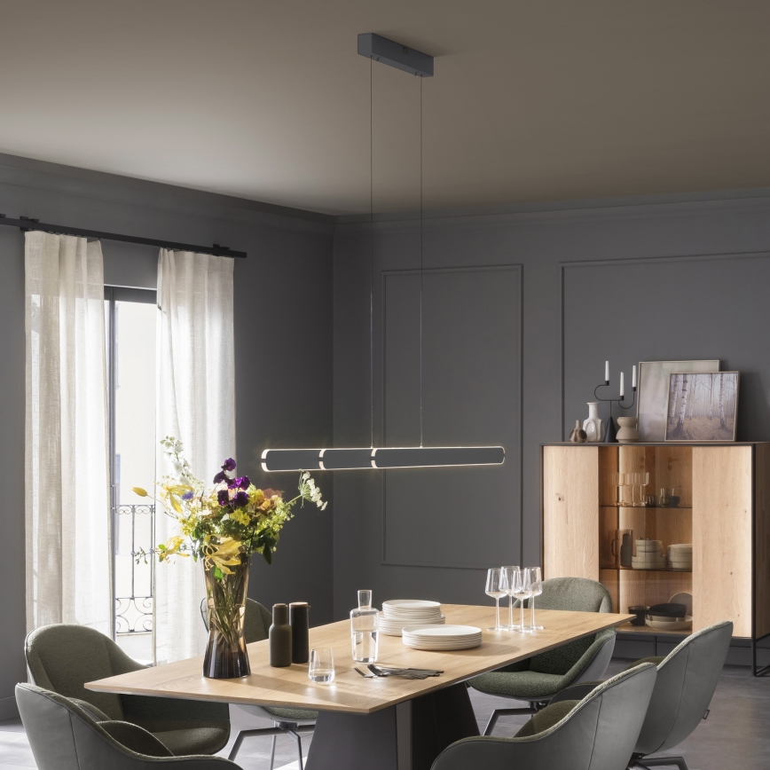 Schöner Wohnen 12577-18 - Suspension LED dimmable sur câble ADRIANA ROUND 2xLED/24W/230V 2700/3000/3500/4000/5000K noire