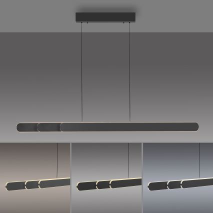 Schöner Wohnen 12577-18 - Suspension LED dimmable sur câble ADRIANA ROUND 2xLED/24W/230V 2700/3000/3500/4000/5000K noire