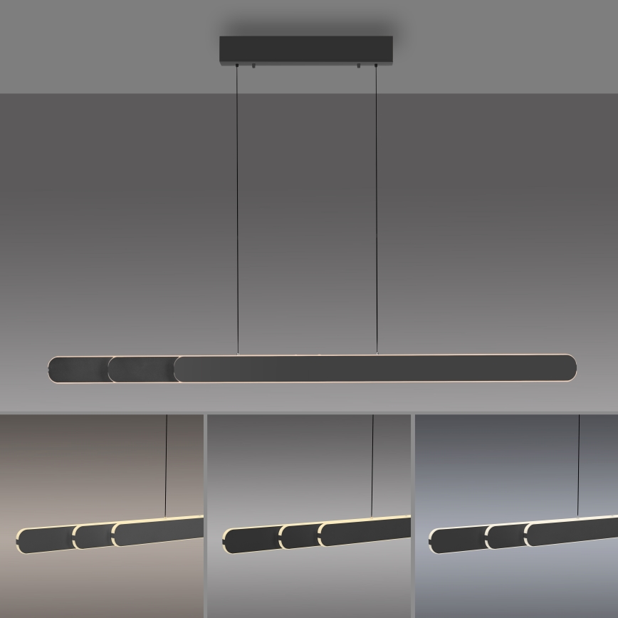 Schöner Wohnen 12577-18 - Suspension LED dimmable sur câble ADRIANA ROUND 2xLED/24W/230V 2700/3000/3500/4000/5000K noire