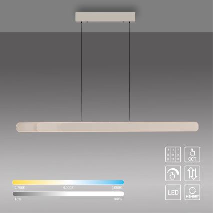 Schöner Wohnen 12577-39 - Suspension LED dimmable sur câble ADRIANA ROUND 2xLED/24W/230V 2700/3000/3500/4000/5000K gris