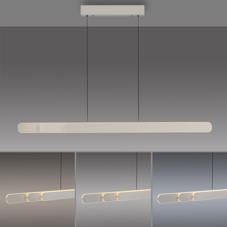 Schöner Wohnen 12577-39 - Suspension LED dimmable sur câble ADRIANA ROUND 2xLED/24W/230V 2700/3000/3500/4000/5000K gris