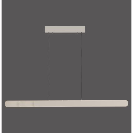 Schöner Wohnen 12577-39 - Suspension LED dimmable sur câble ADRIANA ROUND 2xLED/24W/230V 2700/3000/3500/4000/5000K gris