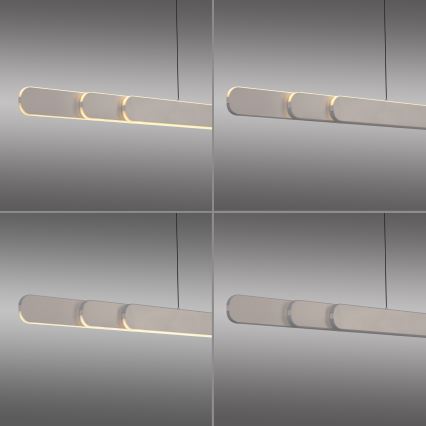 Schöner Wohnen 12577-39 - Suspension LED dimmable sur câble ADRIANA ROUND 2xLED/24W/230V 2700/3000/3500/4000/5000K gris