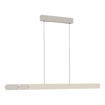 Schöner Wohnen 12577-39 - Suspension LED dimmable sur câble ADRIANA ROUND 2xLED/24W/230V 2700/3000/3500/4000/5000K gris