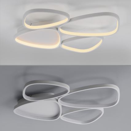 Schöner Wohnen 14038-16 - Plafonnier LED dimmable PEBBLES LED/35,5W/230V blanc