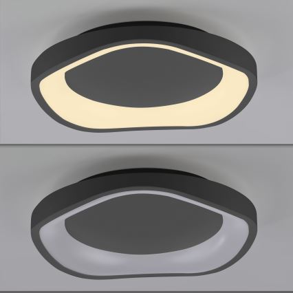 Schöner Wohnen 14233-18 - Plafonnier LED dimmable MONTA LED/21W/230V Ø 40 cm noir