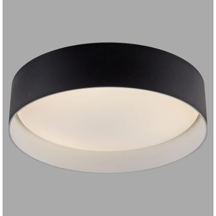 Schöner Wohnen 14593-18 - Plafonnier LED dimmable TAVOLI LED/10W/230V 2700-6500K Ø 28,5 cm noir + télécommande