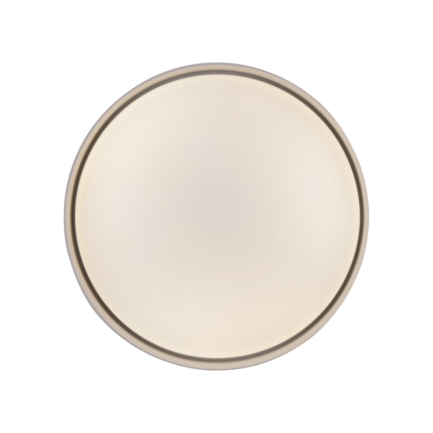 Schöner Wohnen 14593-39 - Plafonnier LED dimmable TAVOLI LED/10W/230V 2700-6500K Ø 28,5 cm gris + télécommande