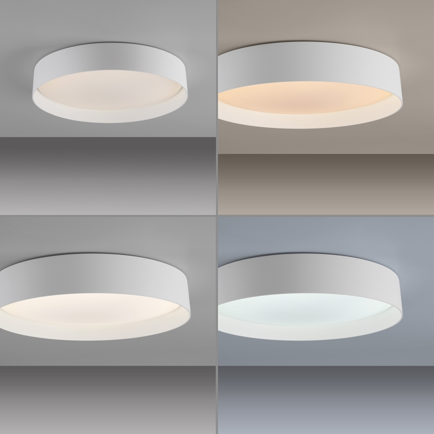 Schöner Wohnen 14594-16 - Plafonnier LED dimmable TAVOLI LED/20W/230V 2700–6500K Ø 39 cm blanc + télécommande