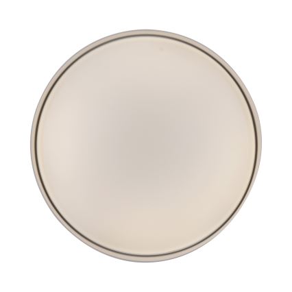 Schöner Wohnen 14594-39 - Plafonnier LED dimmable TAVOLI LED 20 W / 230 V 2700–6500 K Ø 39 cm gris avec télécommande